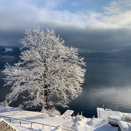 Seehaus Weiss Rothenthurn Buitenkant foto